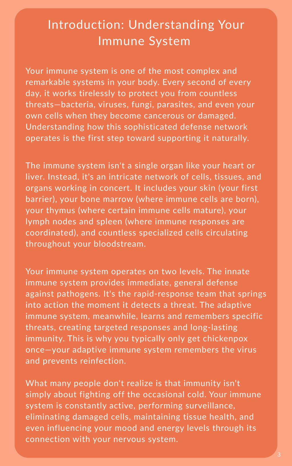 The Complete Guide to Naturally Boosting Your Immunity