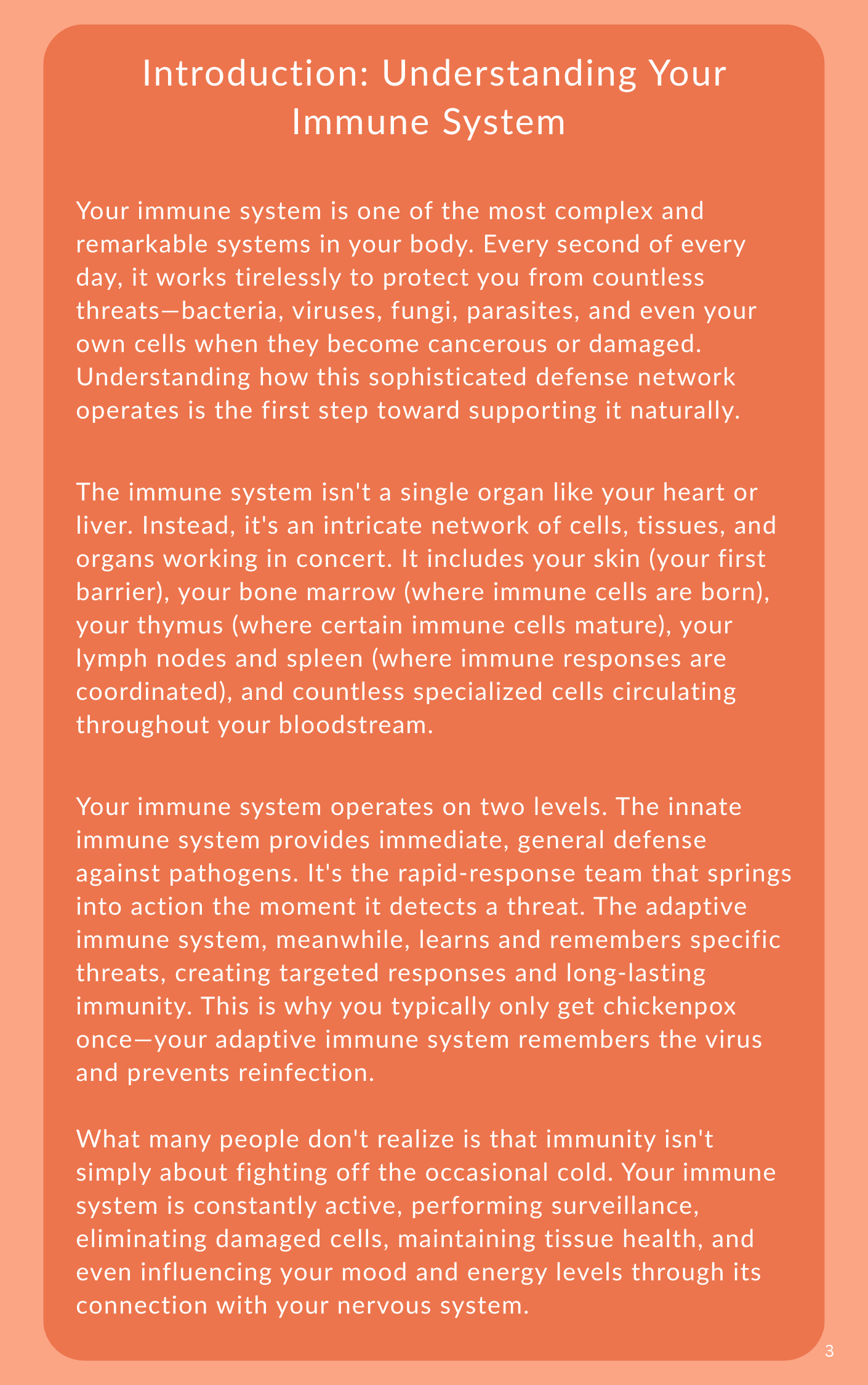 The Complete Guide to Naturally Boosting Your Immunity